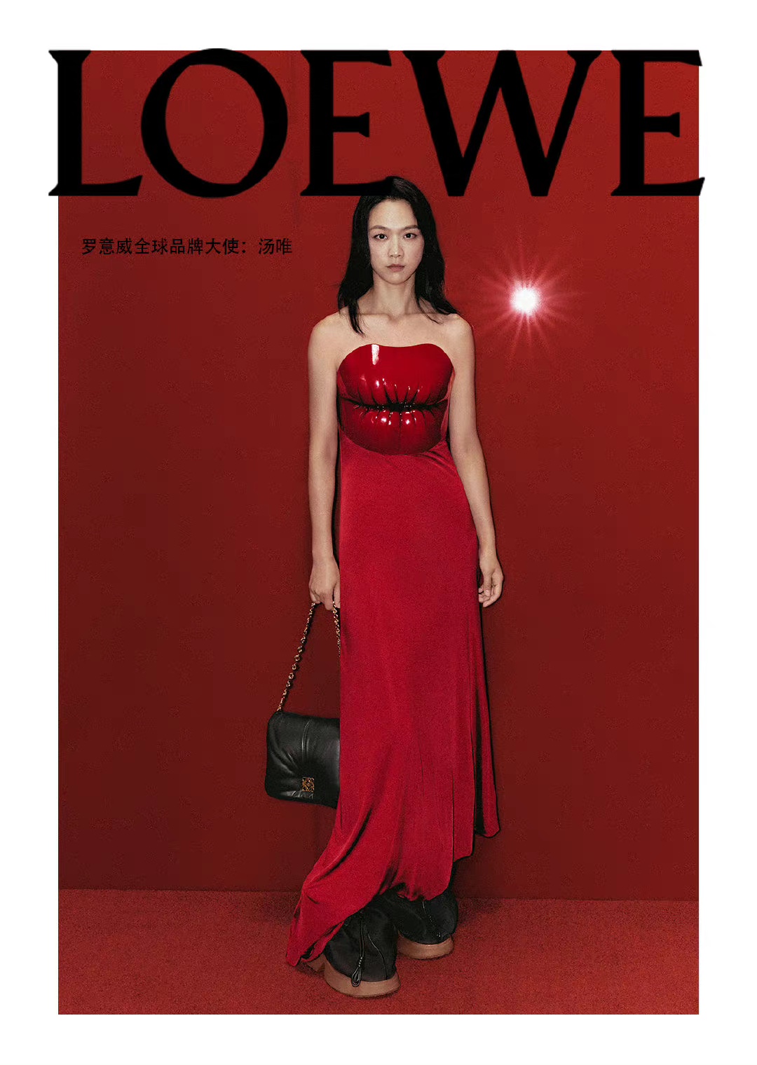 Loewe Goya Bolsos de mano