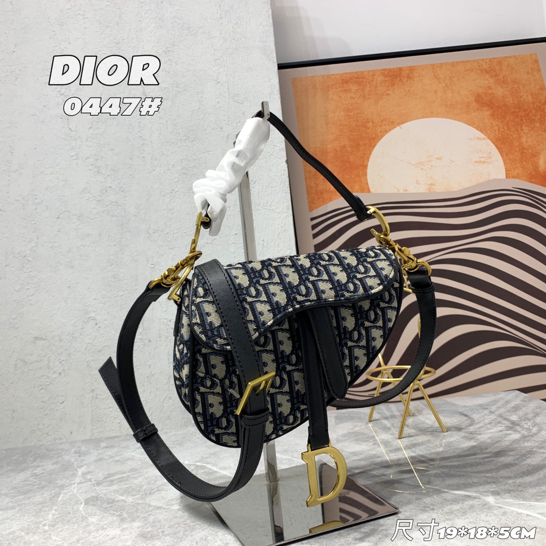 310 Dior saddle 老花 细肩带