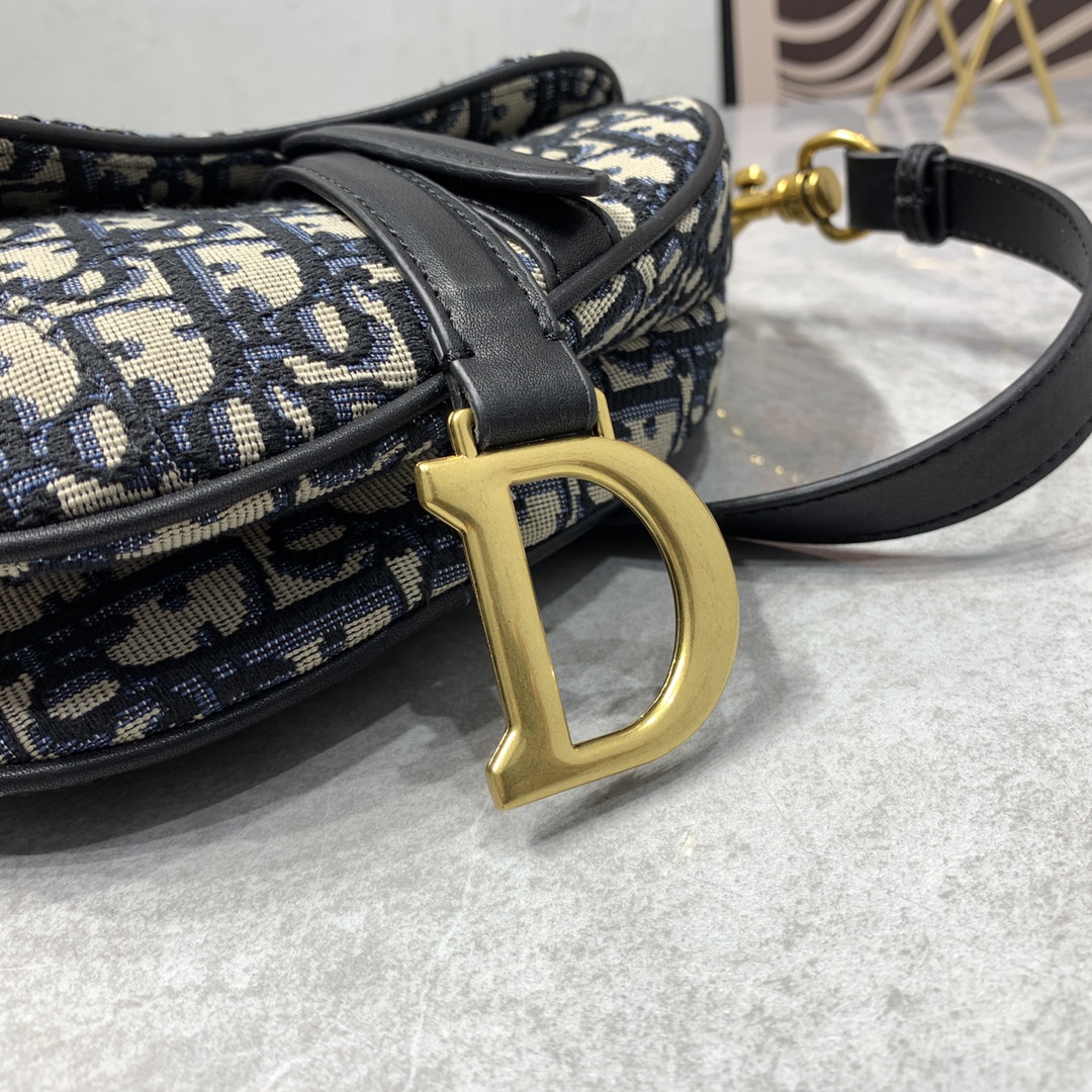 310 Dior saddle 老花 细肩带