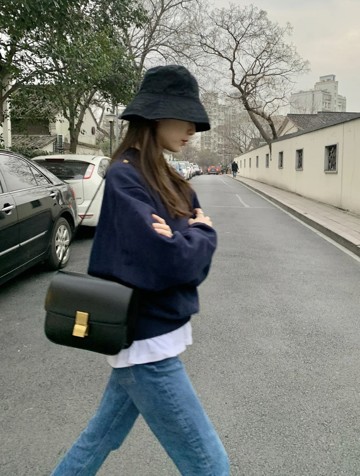 Celine box upper body picture