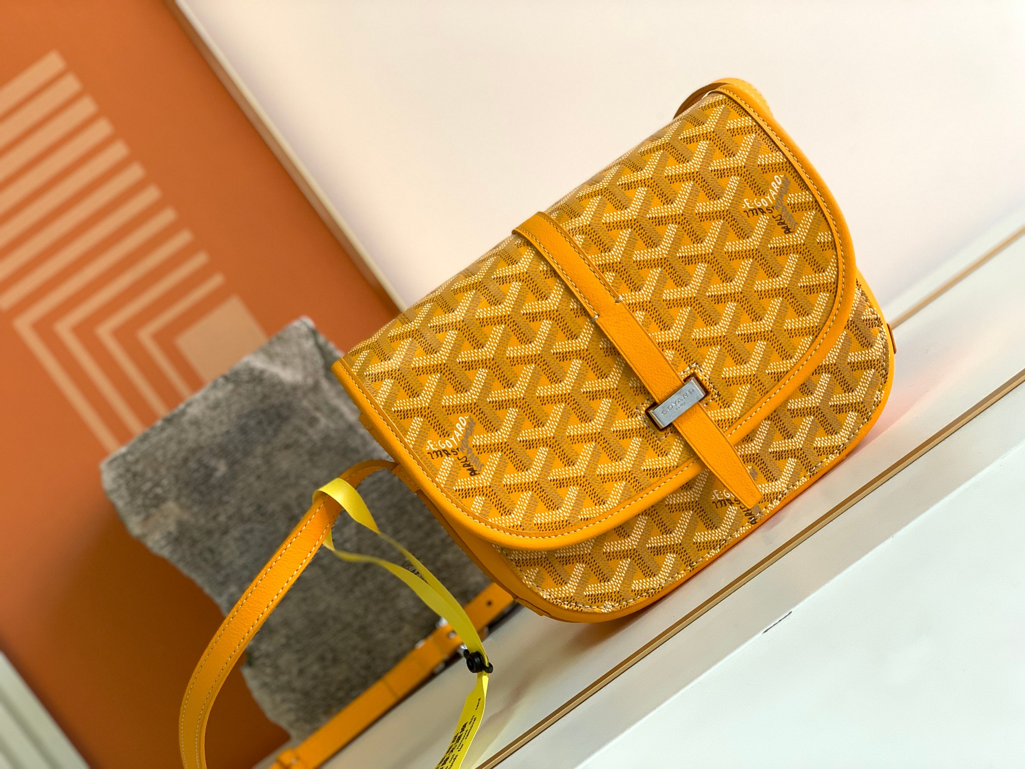 고야드 가방 77830 Goyard Bag