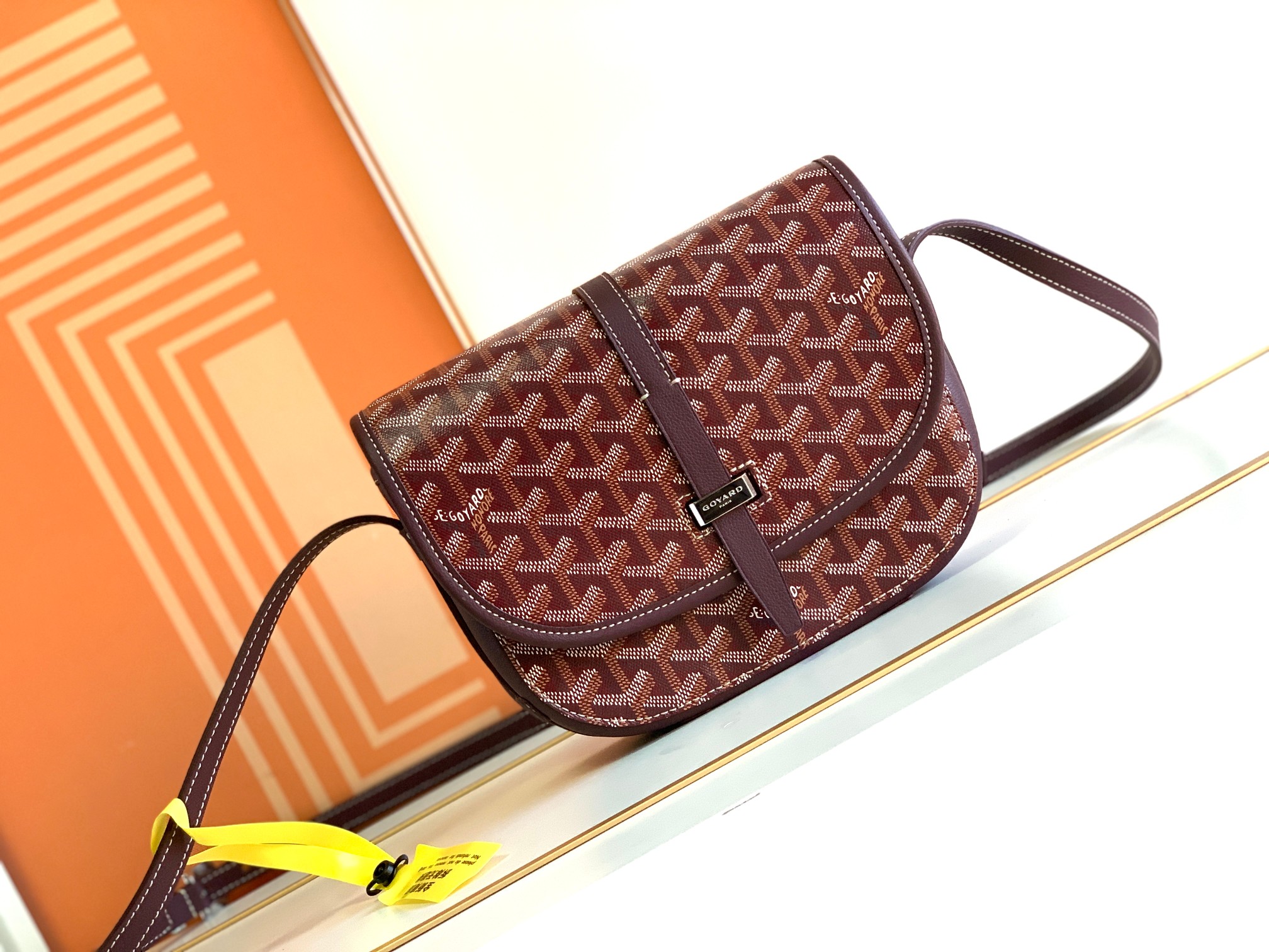 고야드 가방 77831 Goyard Bag