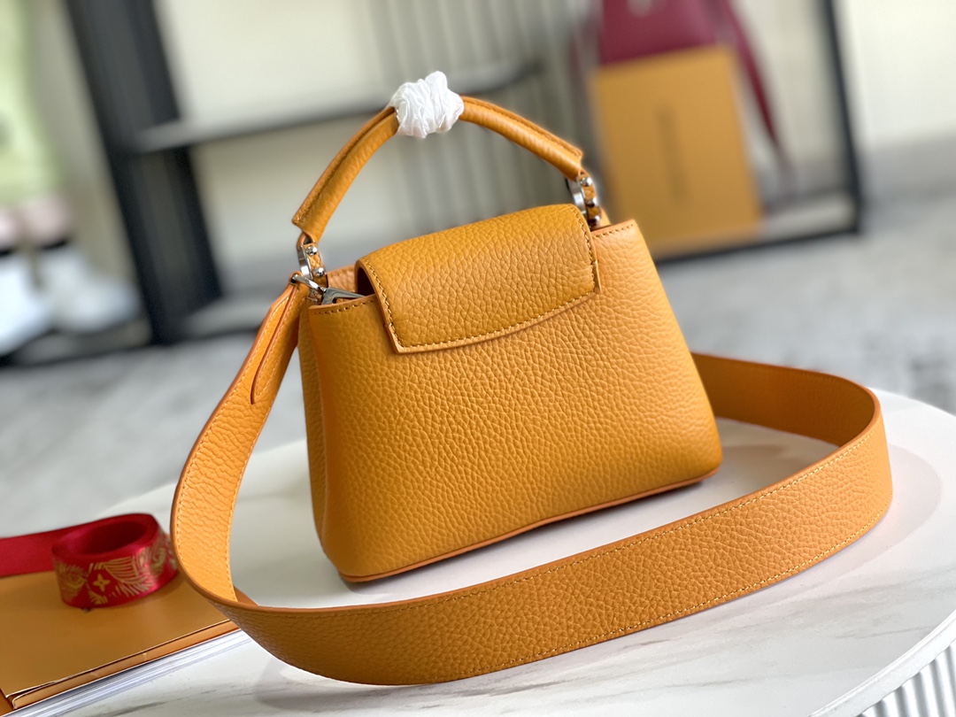 This Capucines Mini handbag showcases the subtle sheen of delicate - Bag 4