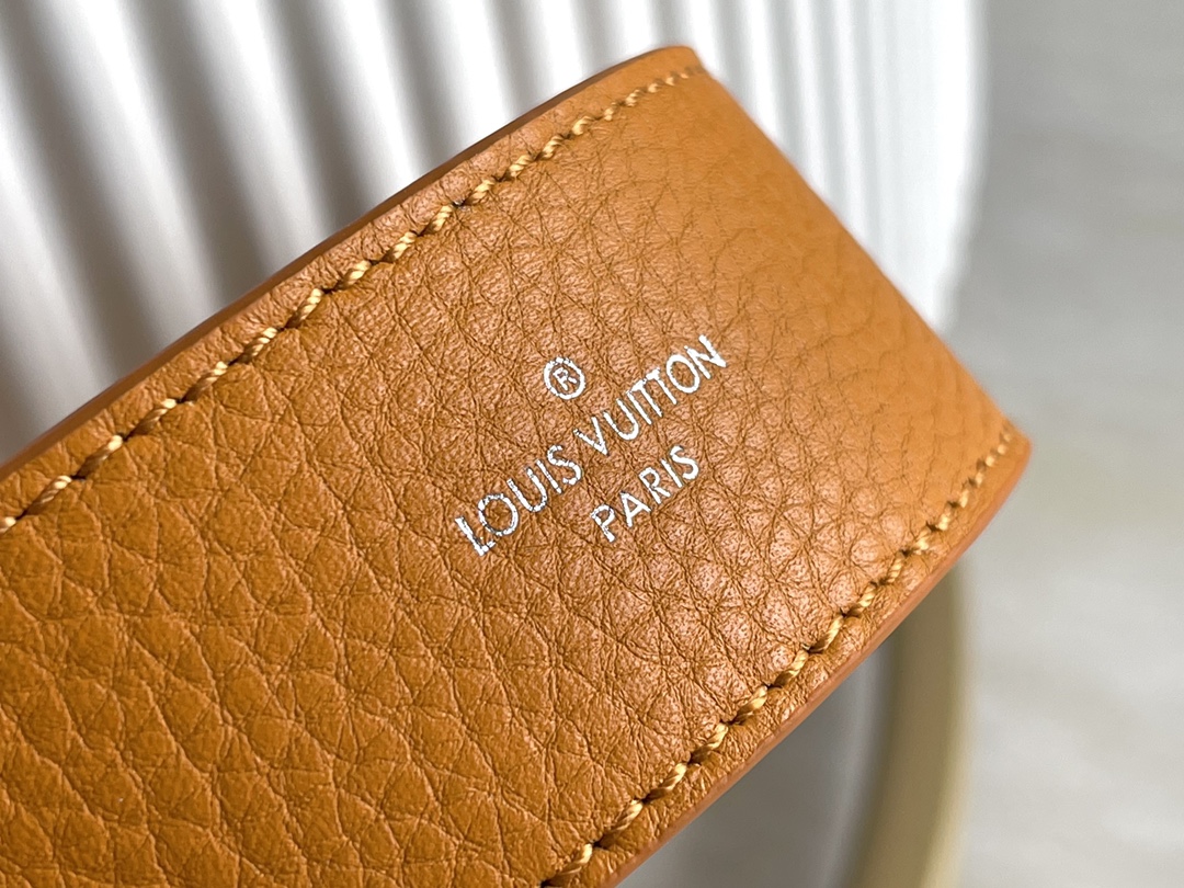 This Capucines Mini handbag showcases the subtle sheen of delicate - Bag 6