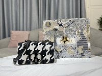 Dior Caro Luxury
 Bags Handbags Black White Embroidery Chains