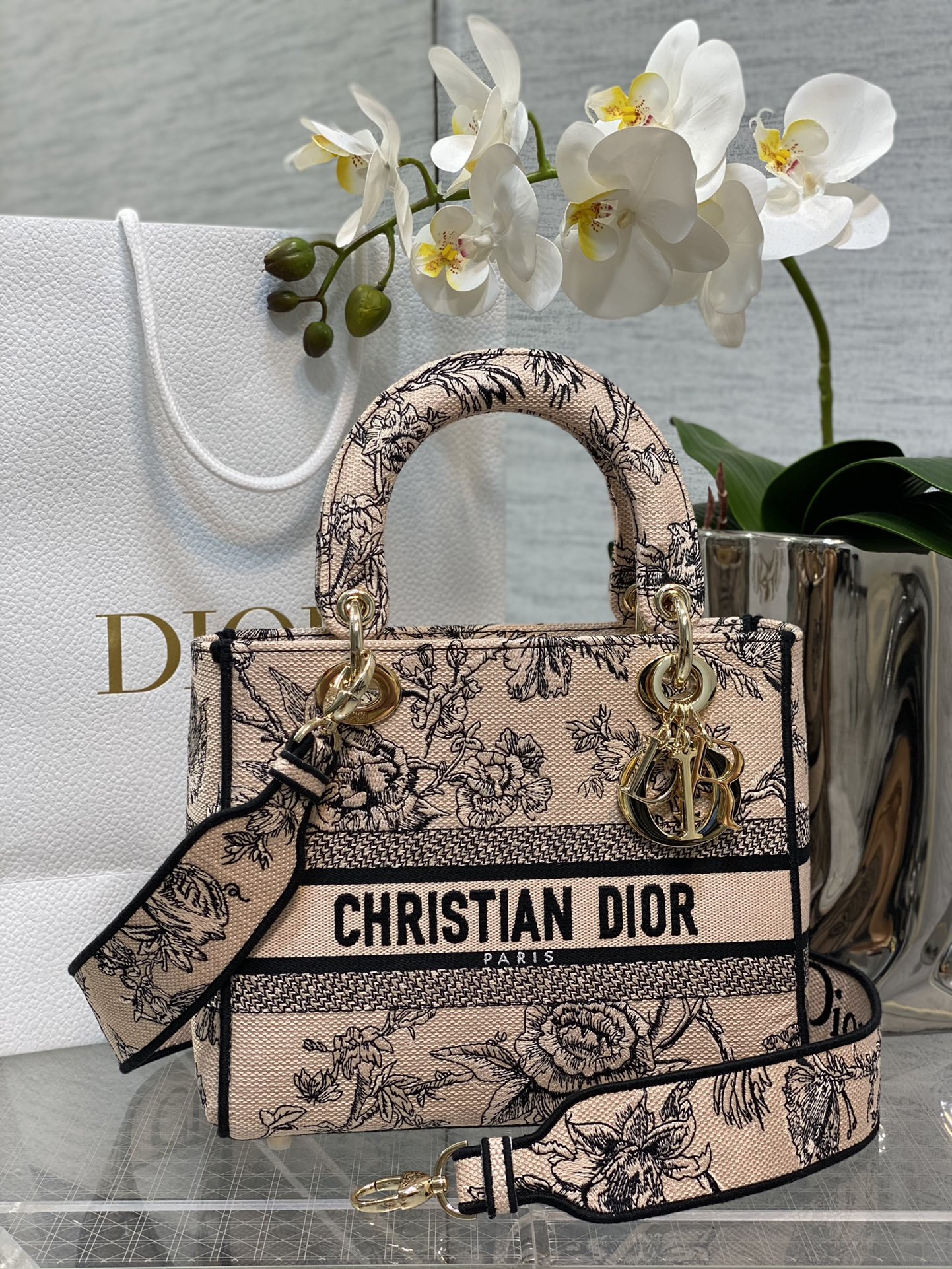 [Dior Women