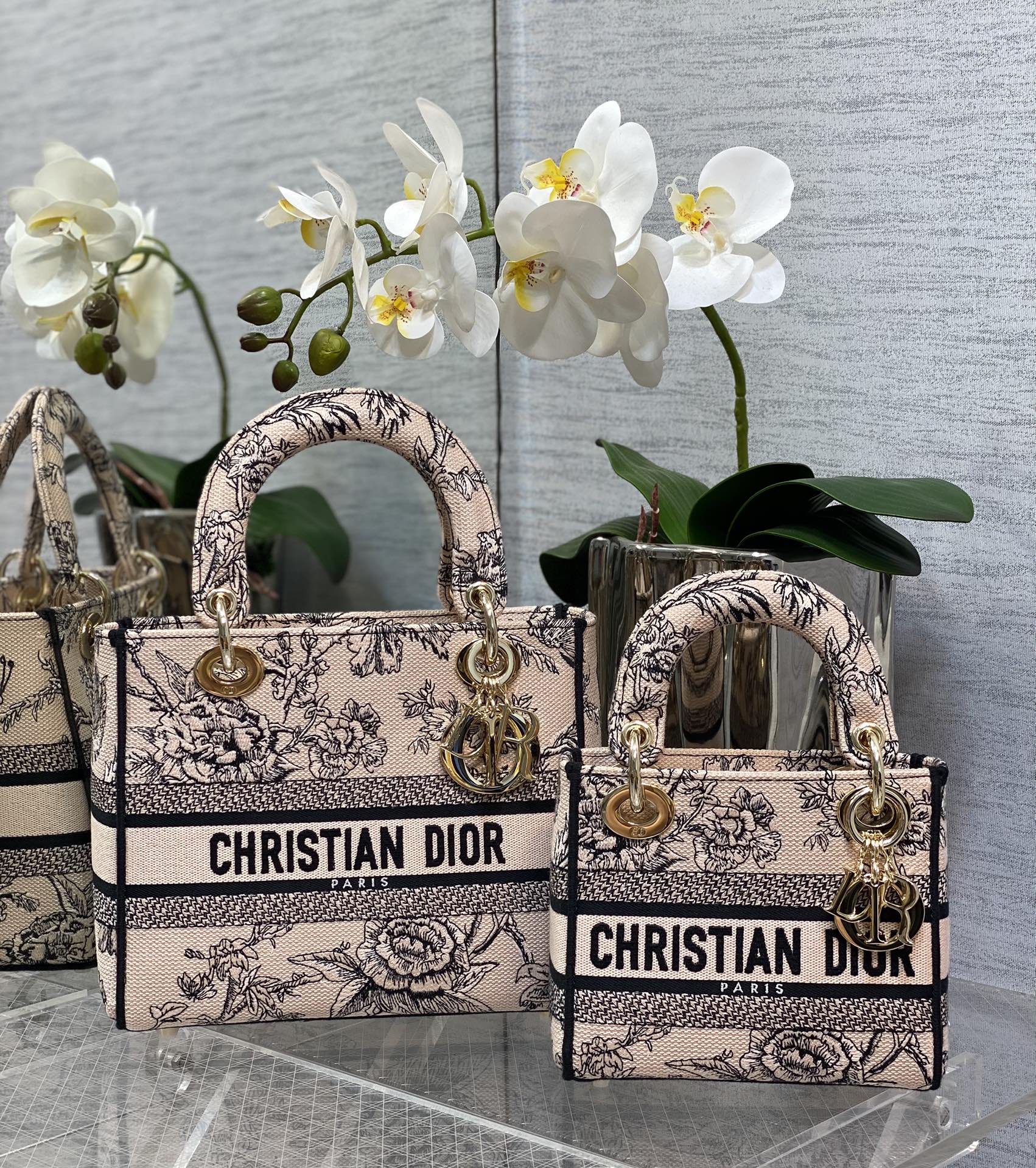 [Dior Women