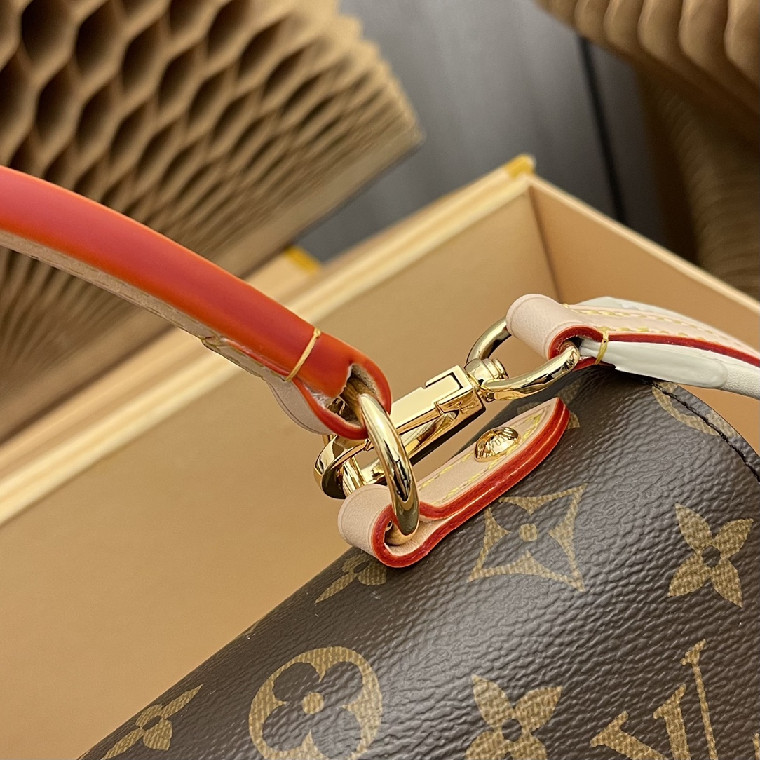 CLUNY BB Handbag (M42738 / M44863 - Bag 6