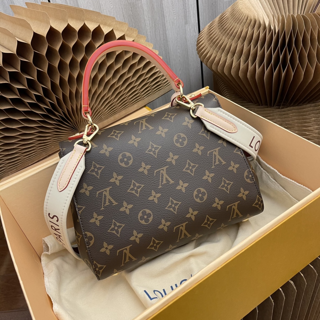 CLUNY BB Handbag (M42738 / M44863 - Bag 2
