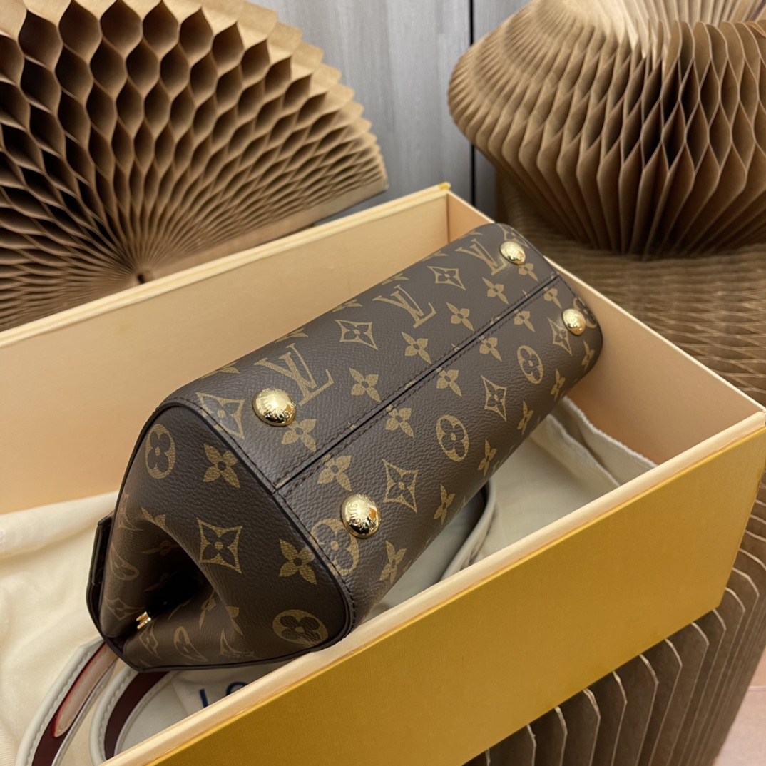 CLUNY BB Handbag (M42738 / M44863 - Bag 3