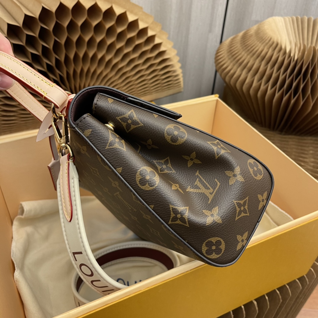 CLUNY BB Handbag (M42738 / M44863 - Bag 4