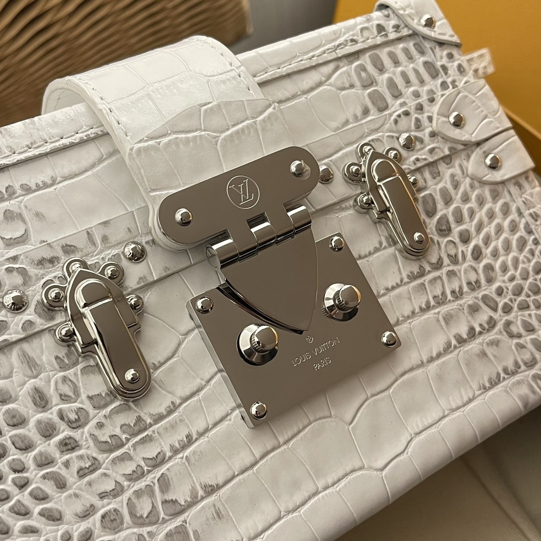this Petite Malle handbag crafts a "little trunk" silhouette in - Bag 6
