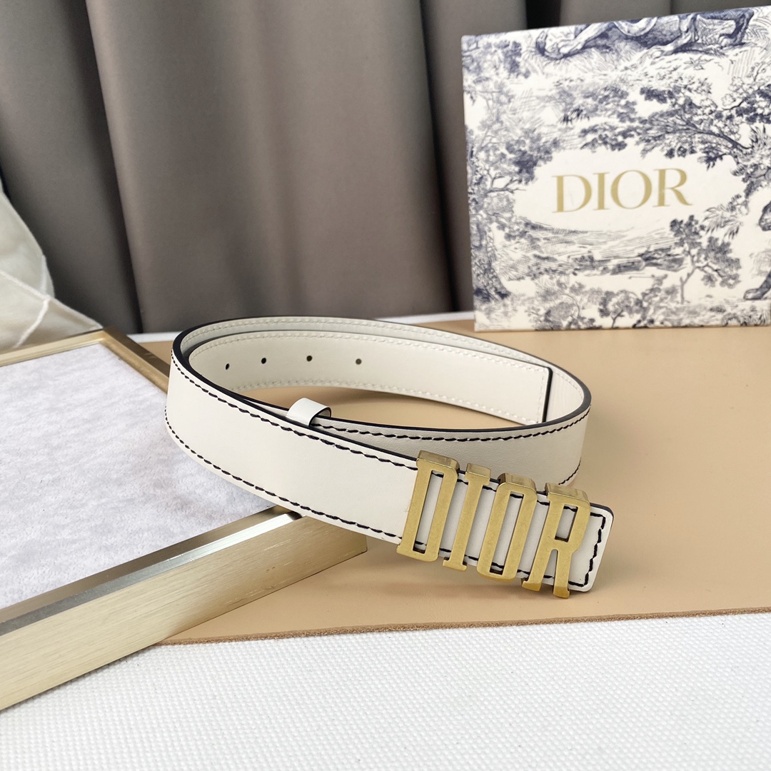 dior22复古铜扣DIOR标志经典