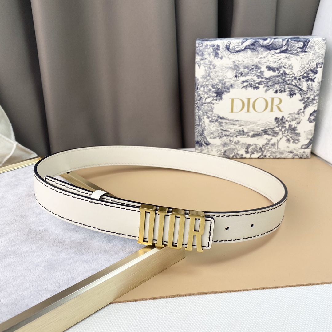 dior22复古铜扣DIOR标志经典