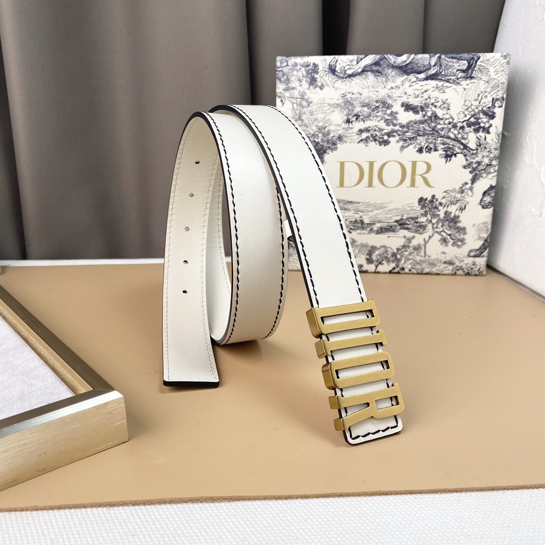 dior22复古铜扣DIOR标志经典