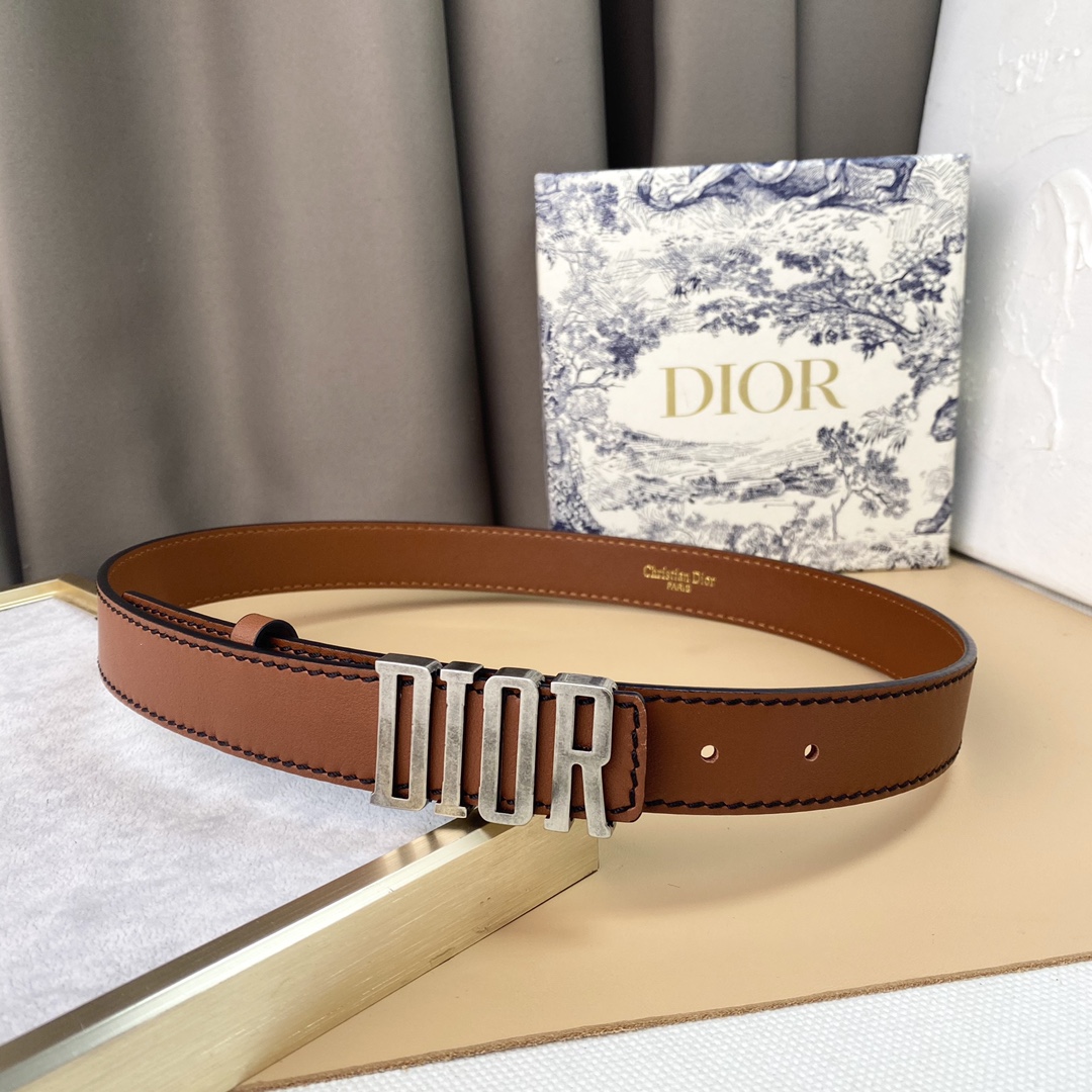 dior22复古铜扣DIOR标志经典