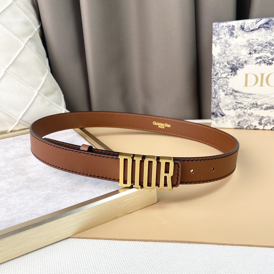 dior22复古铜扣DIOR标志经典