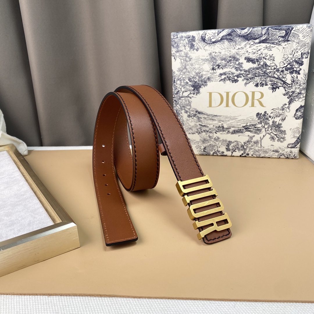 dior22复古铜扣DIOR标志经典