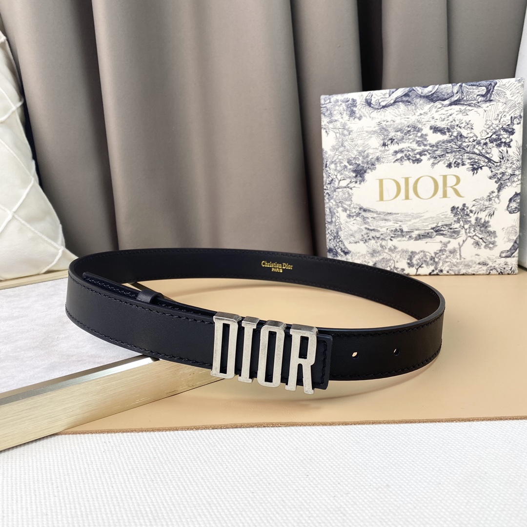 dior22复古铜扣DIOR标志经典