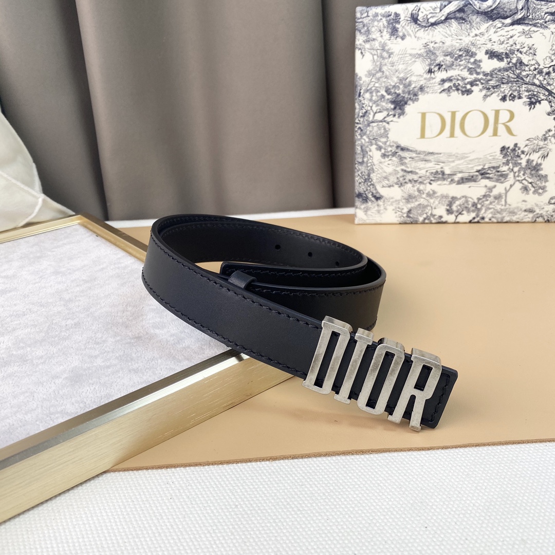 dior22复古铜扣DIOR标志经典