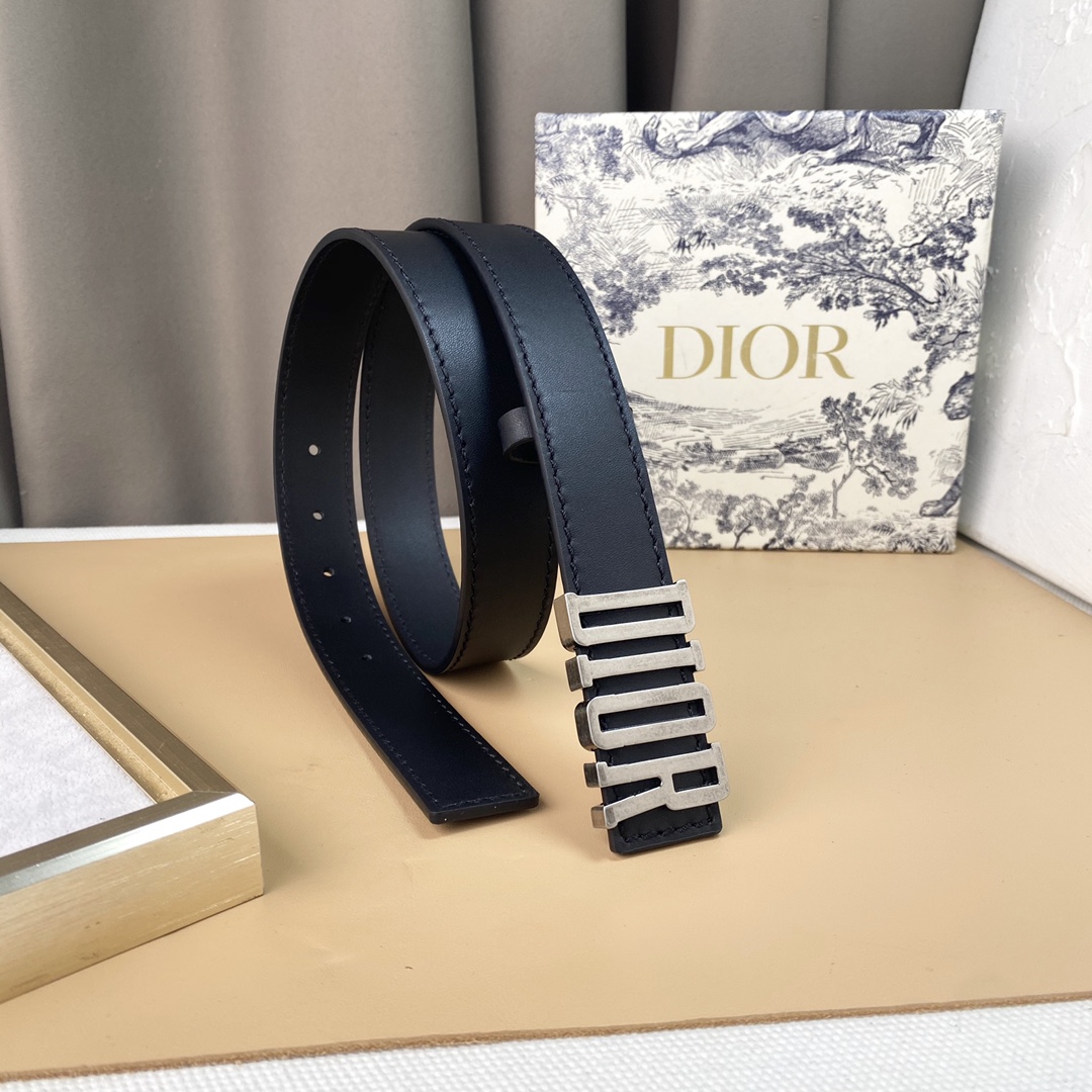 dior22复古铜扣DIOR标志经典