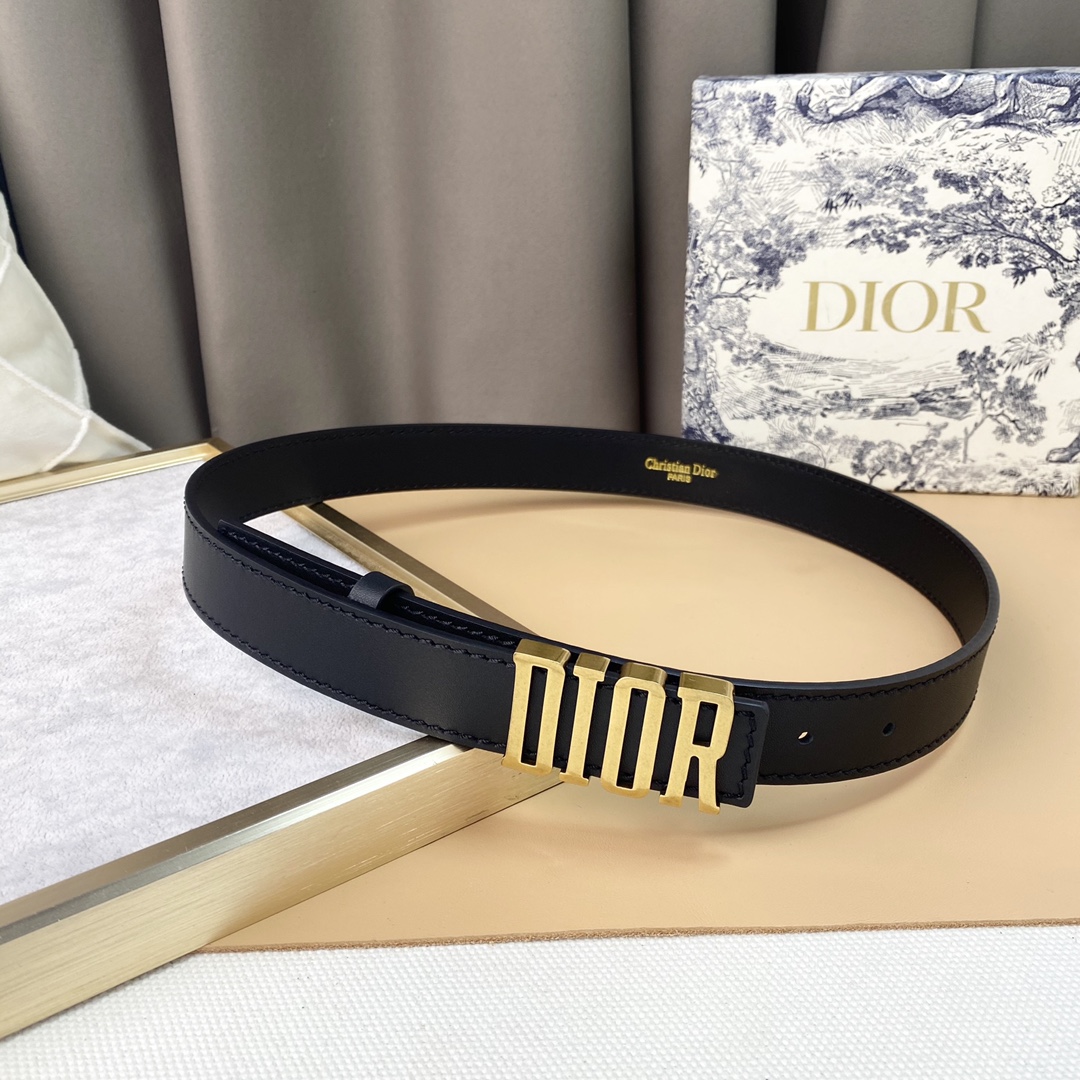 dior22复古铜扣DIOR标志经典