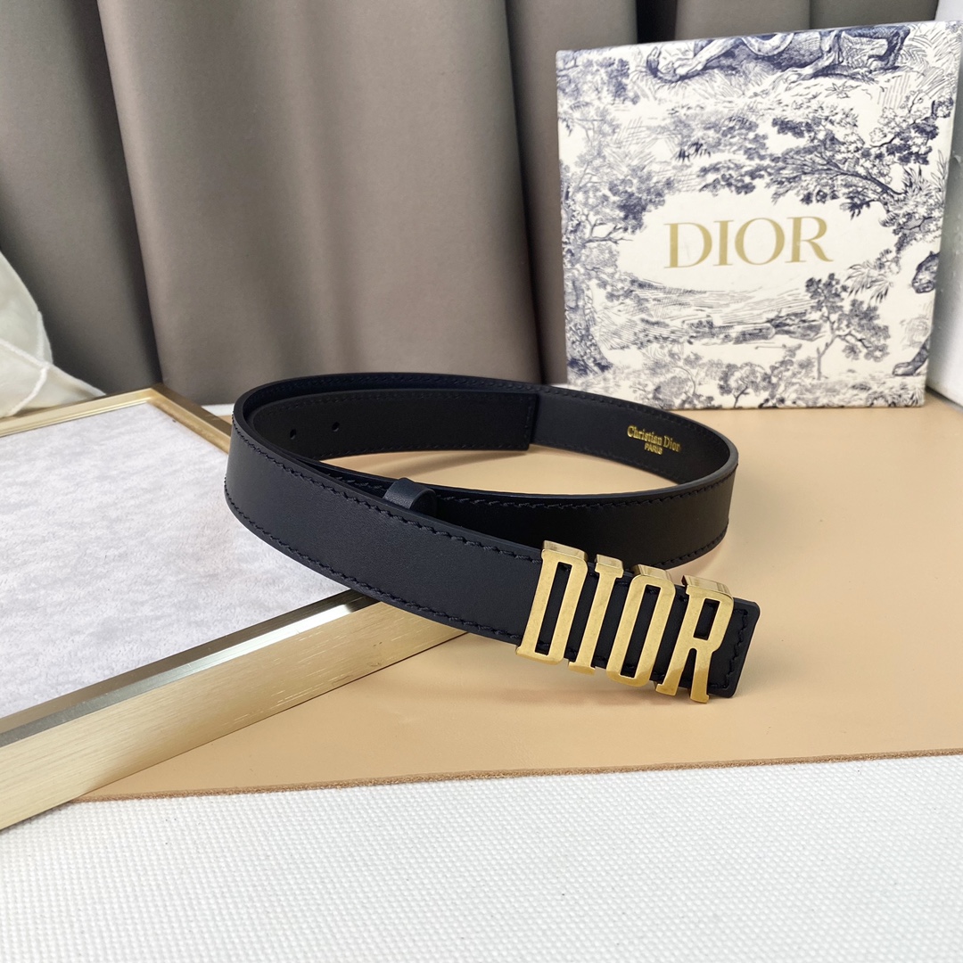 dior22复古铜扣DIOR标志经典