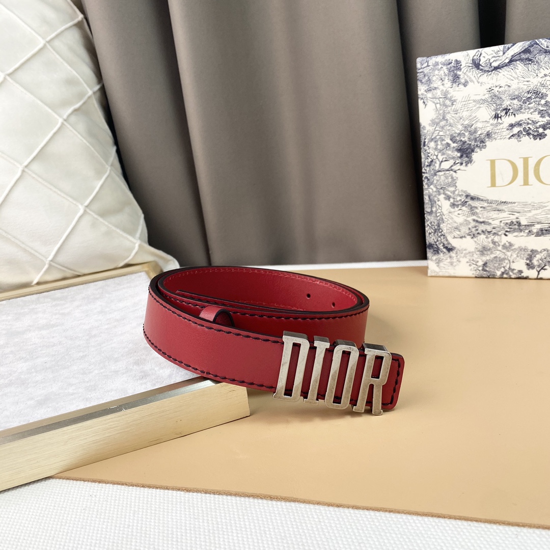 dior22复古铜扣DIOR标志经典