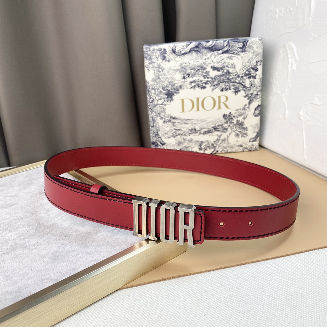 dior22复古铜扣DIOR标志经典