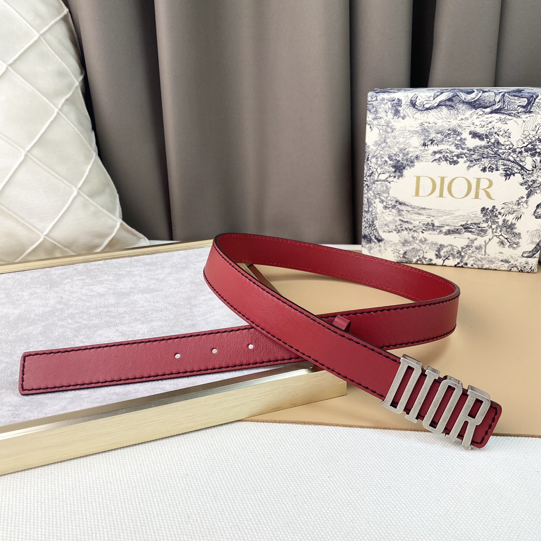 dior22复古铜扣DIOR标志经典