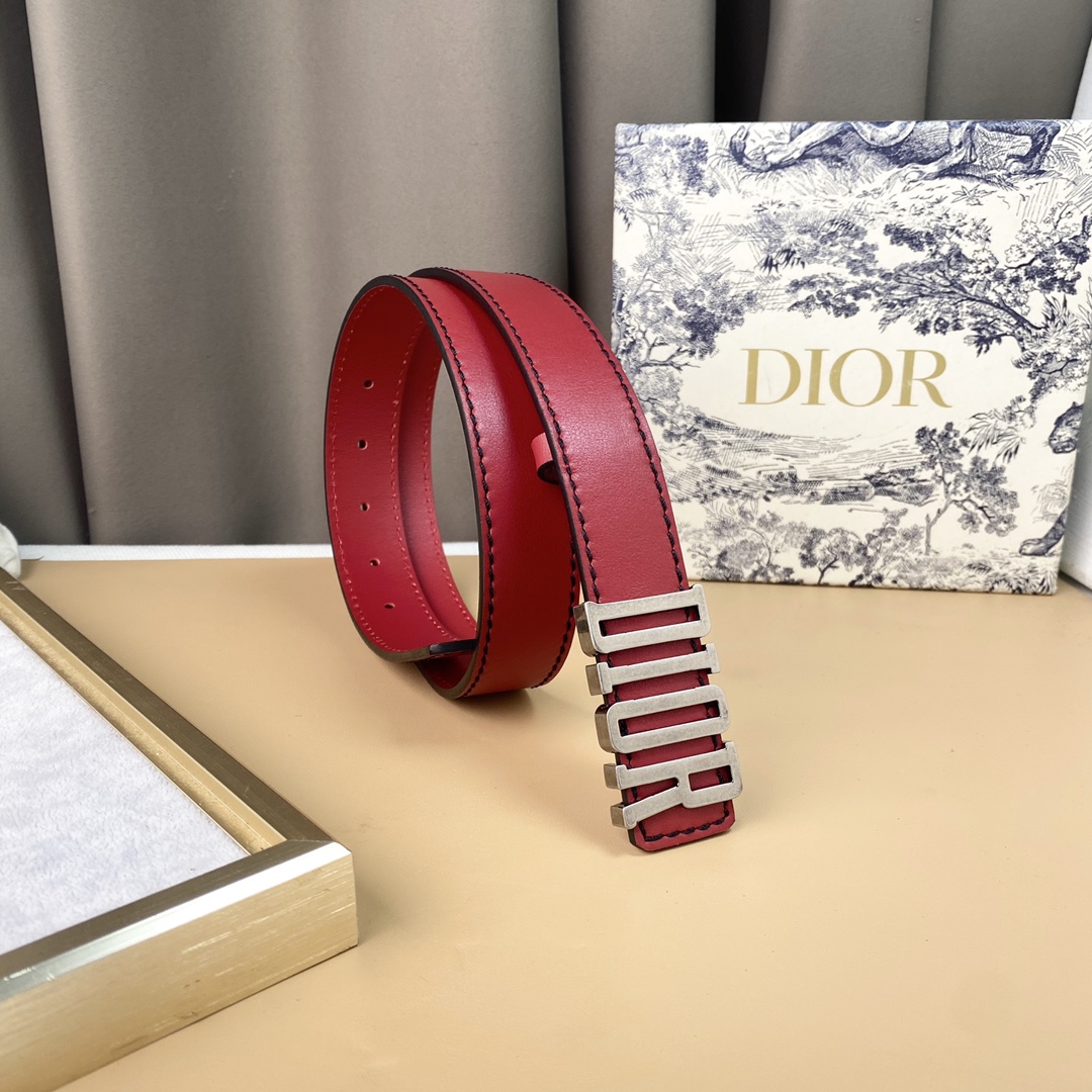 dior22复古铜扣DIOR标志经典