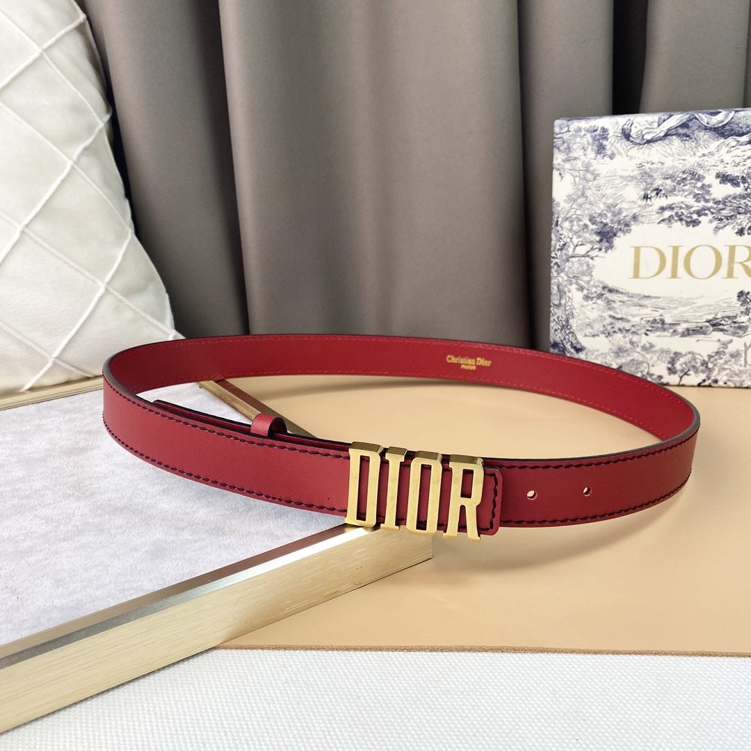 dior22复古铜扣DIOR标志经典