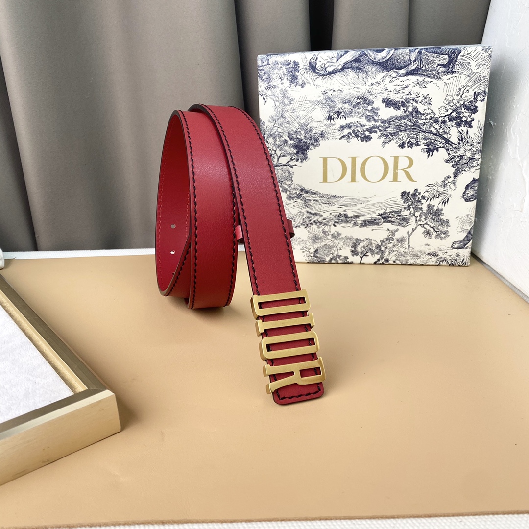 dior22复古铜扣DIOR标志经典