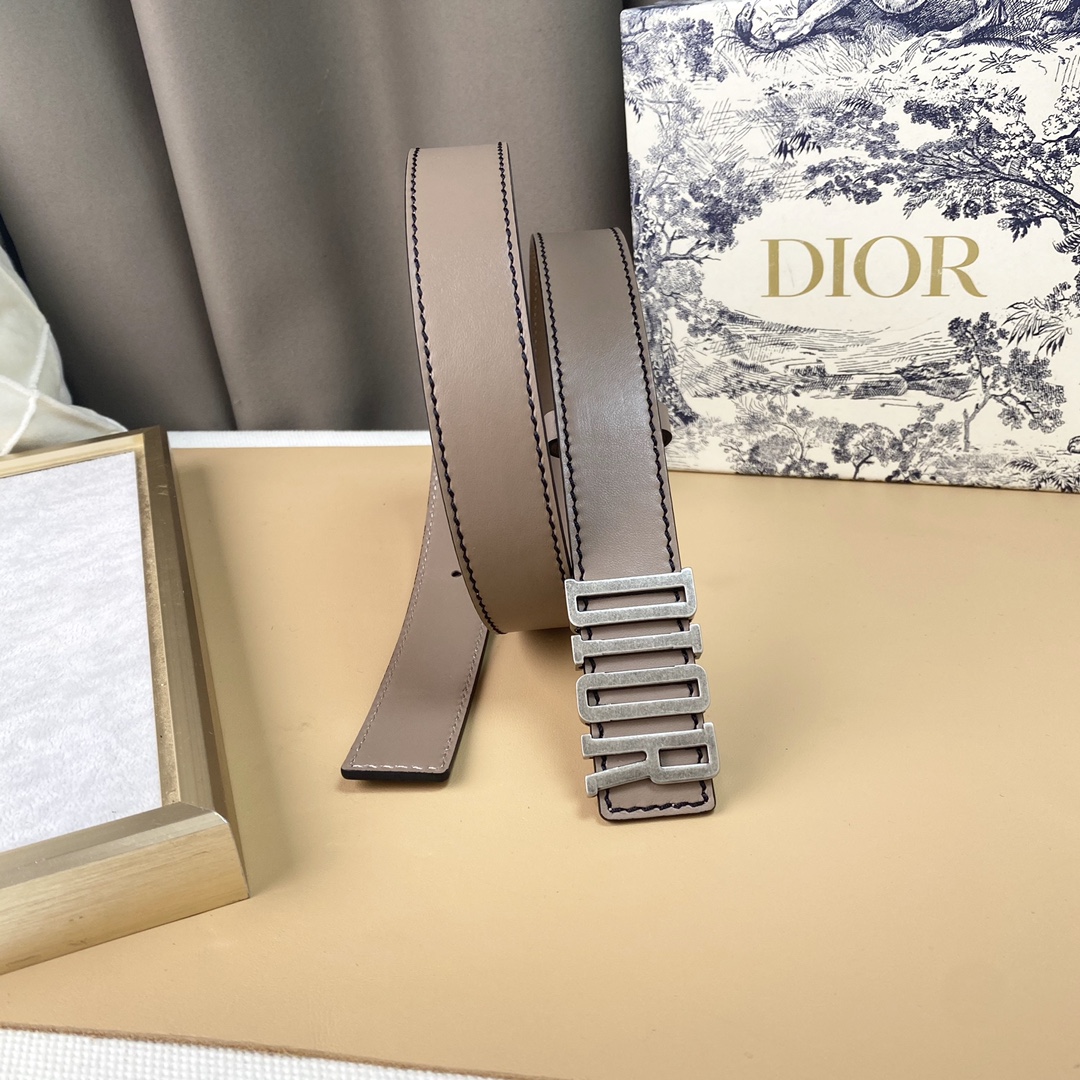 dior22复古铜扣DIOR标志经典