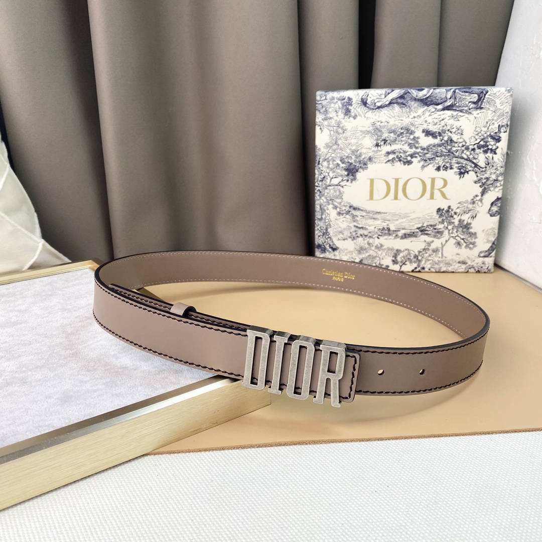 dior22复古铜扣DIOR标志经典