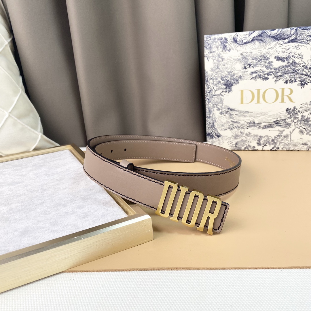 dior22复古铜扣DIOR标志经典