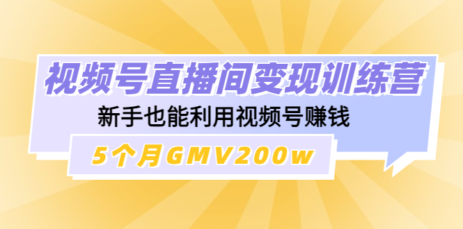 【网赚上新】1177.视频号直播间变现训练营