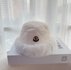 Moncler Hats Bucket Hat Buy High Quality Cheap Hot Replica Black White Cotton