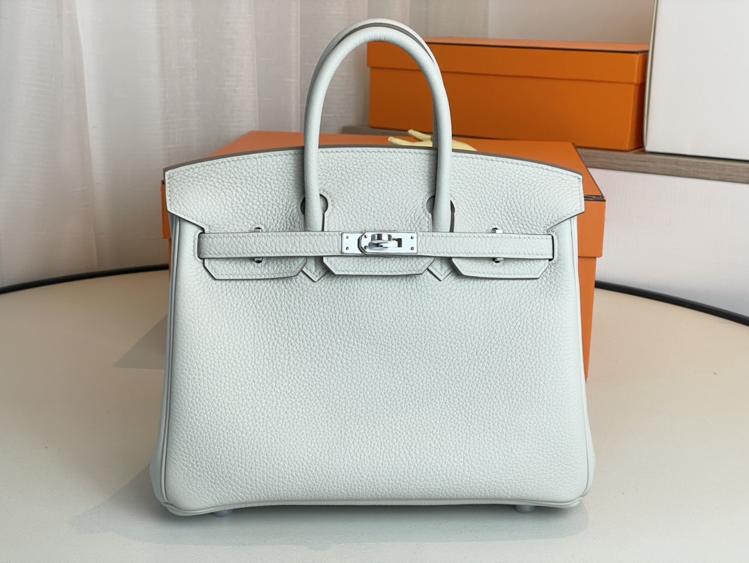 Hermes Birkin Bags Handbags White Silver Hardware