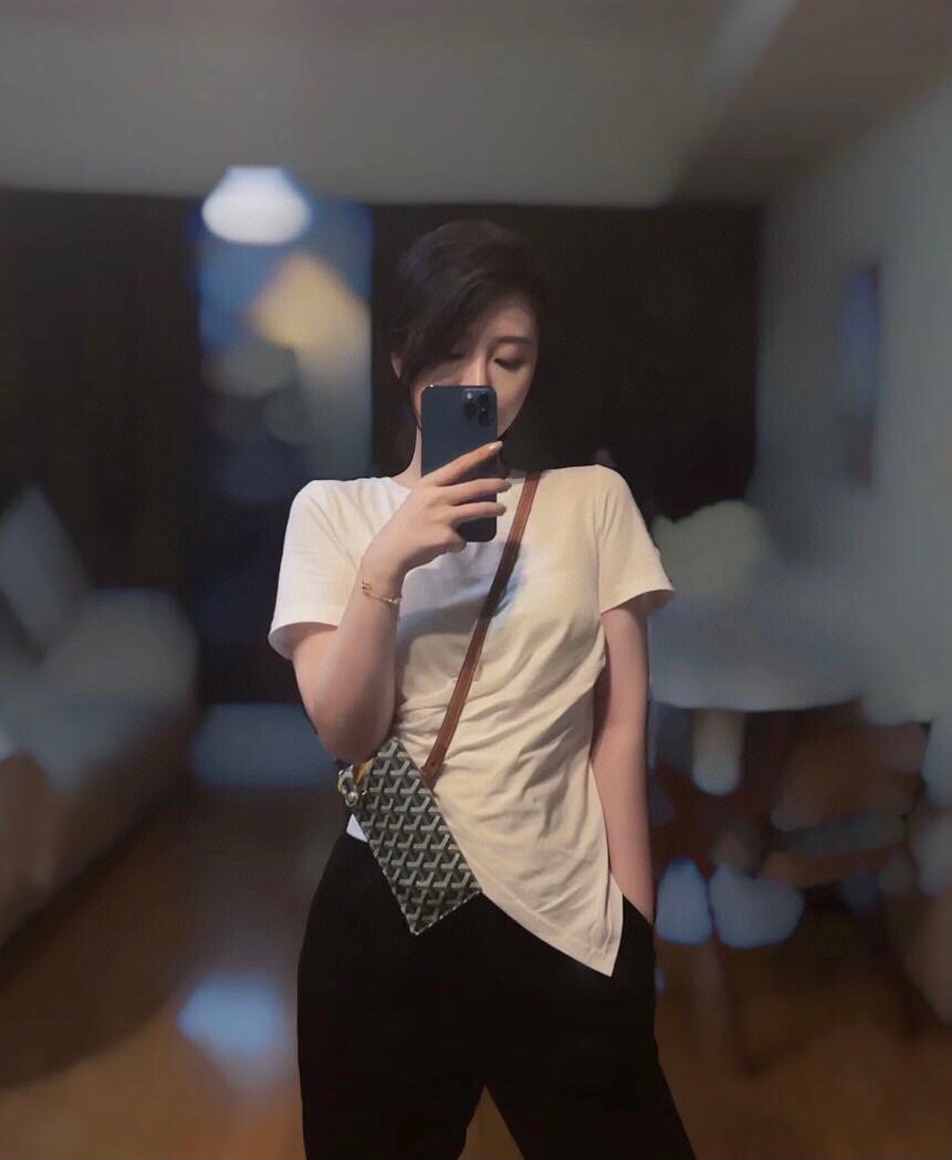 NO:197864,Genuine grade brown upper body picture, Goya19860909正品级 棕色上身图,戈雅,Bag