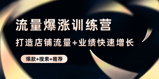 【网赚上新】043.流量爆涨训练营