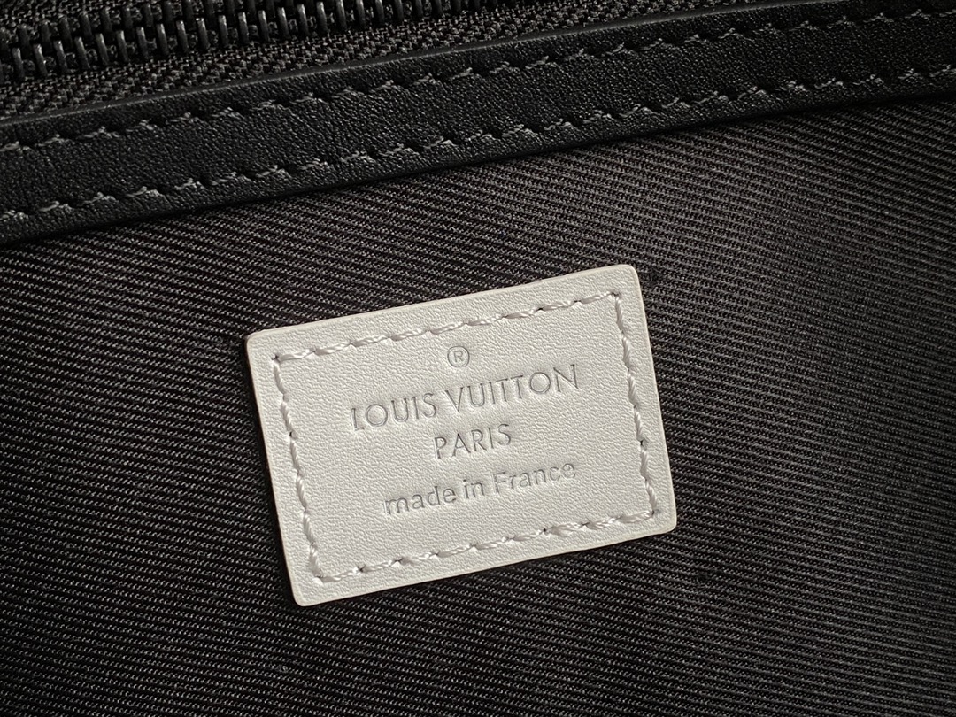 Louis Vuitton Luxury Handbag Collection 9