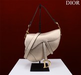 Dior Saddle Saddle Bags Cashmere Velvet