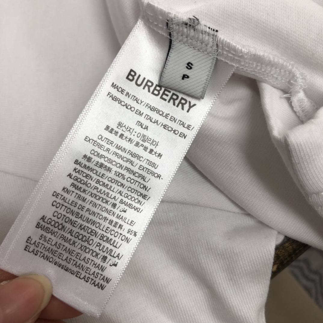 P85
BURBERRY 巴宝莉2025新款男士圆领短袖 情侣T恤
 春夏新品 高品质 🔥🔥时尚百搭潮款 定制进口面料  穿着舒适 透气 时尚不失个性  上身休闲随性 帅气有型 彰显大牌气质。三标齐全！！
颜色：黑色 白色 灰色
 尺码：S-XL(宽松版型)