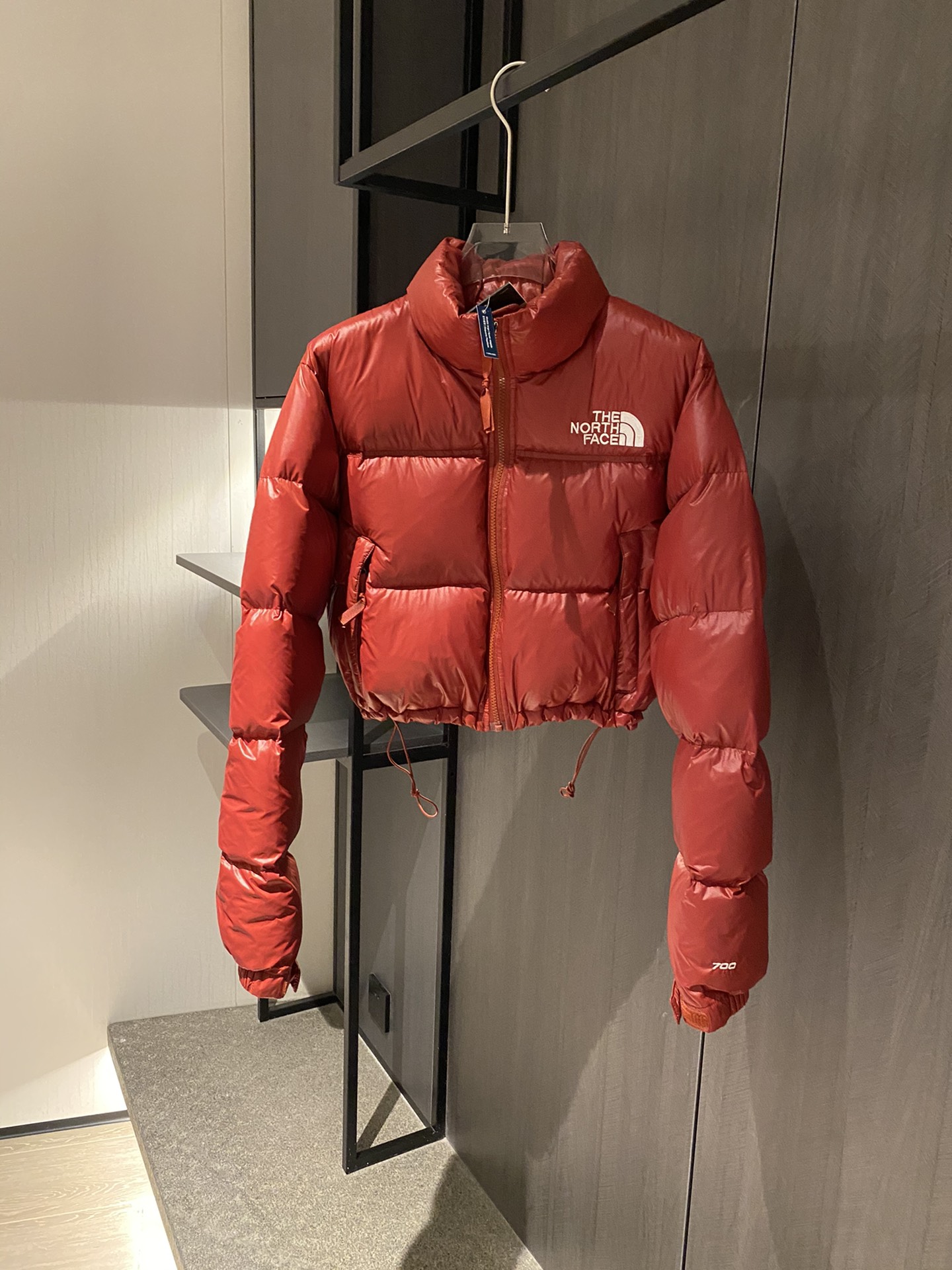 The North Face Clothing Down Jacket Online Sales
 White Embroidery Nylon Duck Down Fashion