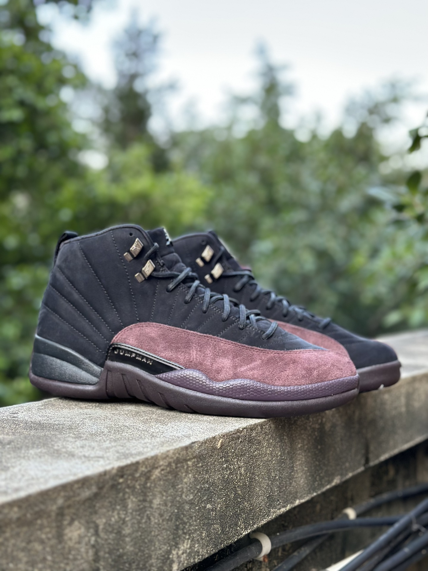 ️X10纯原AirJordan12R