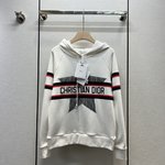 Dior Clothing Hoodies Embroidery Fall/Winter Collection Hooded Top