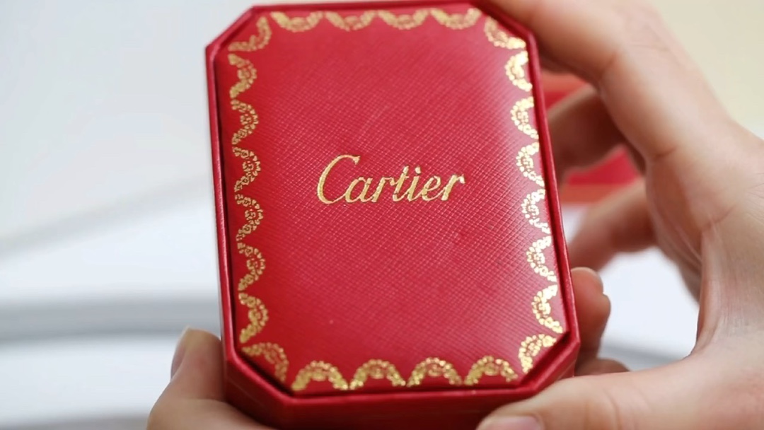Cartier Cartier 经款典满钻钉项子链
