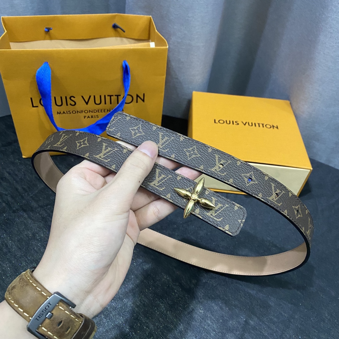 Louis Vuitton Belts Gold Monogram Canvas Mini