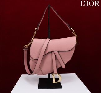 Dior Saddle Saddle Bags Cashmere Velvet